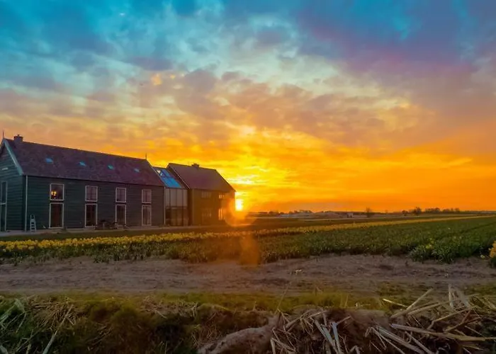 De Groene Bollenschuur Bed & Breakfast Hillegom