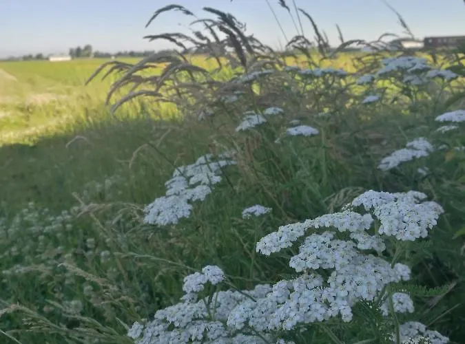 De Groene Bollenschuur 3*